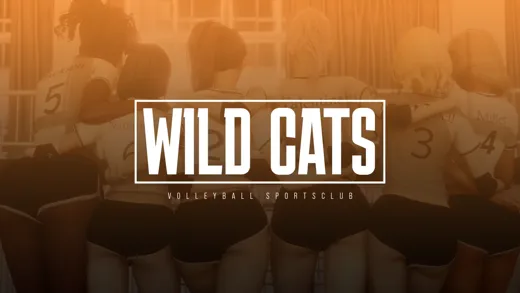 Wild Cats 标题与排球队宣传主视觉